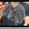 Christophe Parmentier – Become a super fast learner & Boost your memory