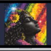 Aesthetics University – Starlight Beauty