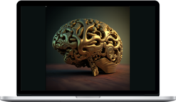 Simplified Improvement – Superhuman Brain And Mind