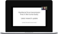 Ida P Rolf Research Foundation – Myofascial Force Transmission Lines In The Human Body: Latest Research Update