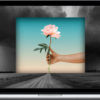 Marshall Rosenberg – Nonviolent Communication Online Training Course