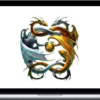 Michael Hall – Secrecy Dragons