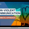 David Weinstock – Non-Violent Communication A Somatic Approach