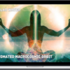 Scalar Waver Fields – Automated Macrocosmic Orbit