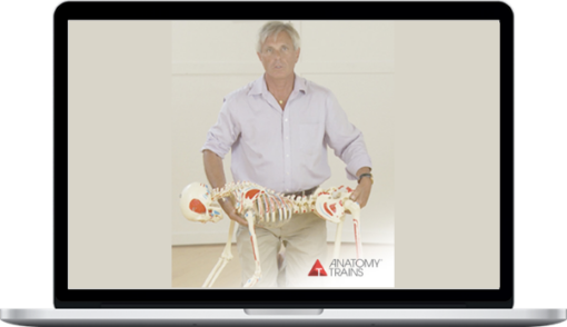 Tom Myers – The Science of Bodywork #1: Unfolding Evolution