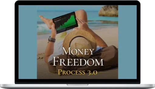 Level 5 Mentoring - Money Freedom Process 3.0