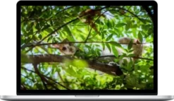 When Nothing Changes Clear the Karma of Lifelong Stagnation and Soul-Level Delay