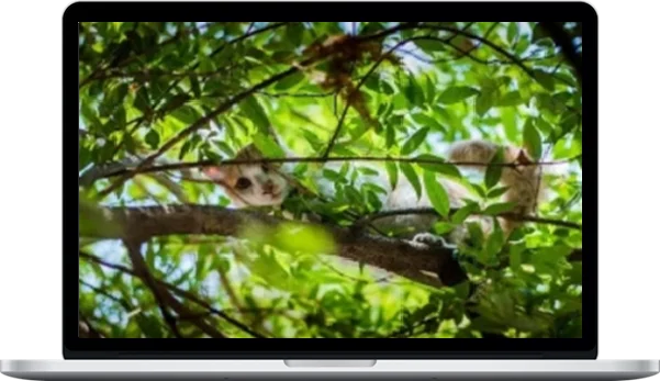 When Nothing Changes Clear the Karma of Lifelong Stagnation and Soul-Level Delay When Nothing Changes Clear the Karma of Lifelong Stagnation and Soul-Level Delay