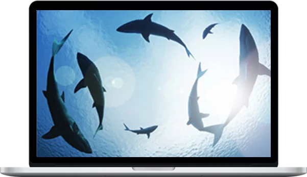 Hypnosis Audio – Overcome Hypervigilance Hypnosis Audio – Overcome Hypervigilance