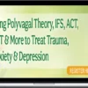 Deb Dana - Using Polyvagal Theory, IFS, ACT, DBT & More to Treat Trauma, Anxiety & Depression