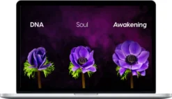 Roy Martina – DNA Soul Awakening