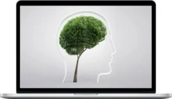 Hypnosis Audio – Get A Growth Mindset