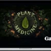 Plant Medicine by Gaia
