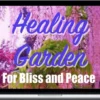 Wendi Friesen – Healing Garden