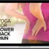 Aadil Palkhivala – Yoga For Lower Back Pain