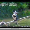 Court Of Atonement – Dangers Of Jealousy