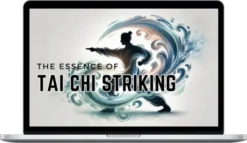 Phoenix Mountain Tai Chi – The Essence of Tai Chi Striking