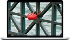 Rudy Hunter – Heart Amp